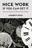Nice work if you can get it : life and labor in precarious times