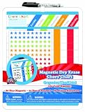 Board Dudes Magnetic Dry Erase Rewards Chore Chart with Marker and Magnets (11020WA-4)