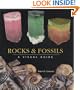 Rocks and Fossils: A Visual Guide (Visual Guides)