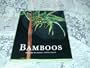 Bamboos (Evergreen Series)
