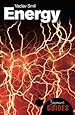 Energy: A Beginner's Guide (Beginner's Guides)