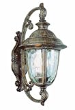 Trans Globe Lighting 5902 BRT 25 1/2 Inch 3 Light Outdoor Large Wall Lantern, Burnished Rust 51 dpVAcH8L. SL160 Trans Globe Lighting 5902 BRT 25 1/2 Inch 3 Light Outdoor Large Wall Lantern, Burnished Rust