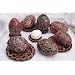 EGG Large Easter Pysanka Ukrainian Egg Item #eg.304