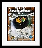 Chicago Blackhawks NHL Team Logo and Hockey Puck Framed 8 x 10 Photograph