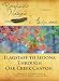 Flagstaff to Sedona through Oak Creek Canyon: A Roadside Nature of Arizona Travel Guide for U.S. Highway 89A