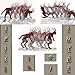 Phenotypes Alpha - Poses-Animations