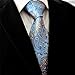 Shlax&Wing Silk Neckties Ties Blue Paisley Wedding Extra Long Size