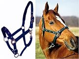 Padded RUNNING HORSES Overlay Nylon Halter - Blue