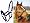 Padded RUNNING HORSES Overlay Nylon Halter - Blue, Cob