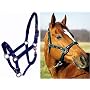 Padded RUNNING HORSES Overlay Nylon Halter - Blue