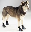 Dog Boots - Guardian Gear Pet Boots - Blue - Medium