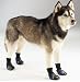 Dog Boots - Guardian Gear Pet Boots - Blue - Medium