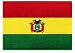 Bolivia Flag Embroidered Patch Bolivian Iron-On National Emblem