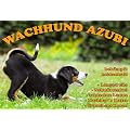 Metall - Warnschild Appenzeller Sennenhund