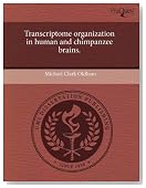 Transcriptome organization in human and chimpanzee brains.
