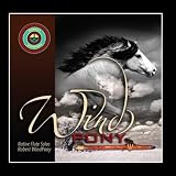 Wind Pony