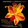 Guided Meditation Using Self Hypnosis Techniques and Yoga Nidra Relaxation for Weight Loss