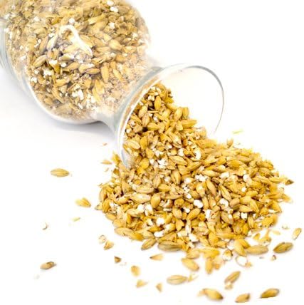 Farmhouse Saison All Grain Beer Recipe Kit