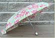 Totes - Adult Rosy Posy Auto Open/Close Umbrella