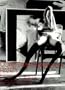 Contemporary Art Part II May 16, 2003, New York (Art Catalogue) (Art Catalogue)