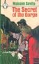 Secret of the Gorge (Merlin Books)