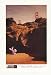 1992 Energizer Bunny San Francisco Still Going Photo Print Ad