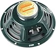 Jensen Vintage C10R 10-Inch Ceramic Speaker, 8 ohm