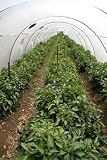 Tunnel Shaped Plastic Greenhouse - 18