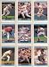 Baltimore Orioles 1992 Donruss Baseball Team Set (Cal Ripken) (Billy Ripken) (Mike Mussina) (Ben McDonald) (David Segui) (Gregg Olson) (Chris Hoiles) (Mike Flanagan) (Leo Gomez) (Randy Milligan) (Bob Melvin) (Sam Horn) (Mike Devereaux) (Dwight Evans) (Glenn Davis) (Authur Rhodes)