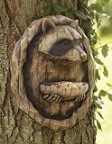Raccoon Tree Feeder