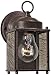 Antique Bronze 8 1/4 High Wall Light