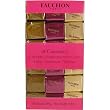 Fauchon Paris 18 Fleur de Sel Caramels Assorted