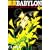 ����BABYLON�\A save for Tokyo city story (5) (�E�B���O�X���Ɂ\Wings comics bunko)