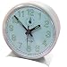 Luminous Alarm Clock