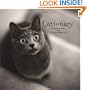 Cationary: Meaningful Portraits of Cats