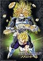Dragonball Z Cloth Wall Scroll Poster