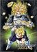 Dragonball Z Cloth Wall Scroll Poster