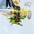 D�tails sur le produit