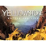 Yellowstone