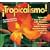 Tropicalismo!: Spice Up Your Garden with Cannas, Bananas, and 93 Other Eye-catching Tropical Plants