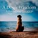 A Dog's Wisdom: A Heartwarming View of Life