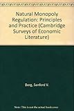 Natural monopoly regulation : principles and practice