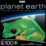 Planet Earth Frog Puzzle - 100 Pcs.