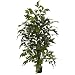 Real Looking 4.5' Fishtail Palm Silk Tree Green Colors - Silk Tree