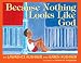 Because Nothing Looks Like God