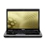 Toshiba Mobile Satellite M505D-S4930 14.0-Inch Laptop - Black/Grey