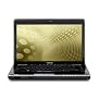 Toshiba Mobile Satellite M505D-S4930 14.0-Inch Laptop - Black/Grey