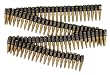 Deluxe Bullet Belt