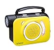 eGear Dynamo Weatherband/AM/FM Radio with 3LED Light (Yellow)