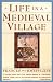 Life in a Medieval Village